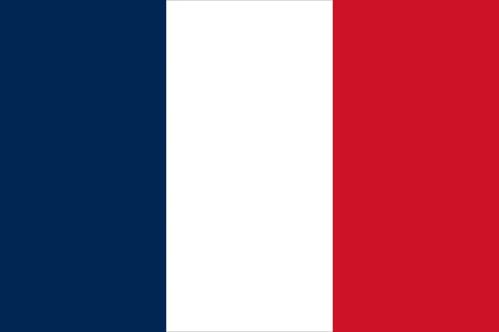 France flag representing French language