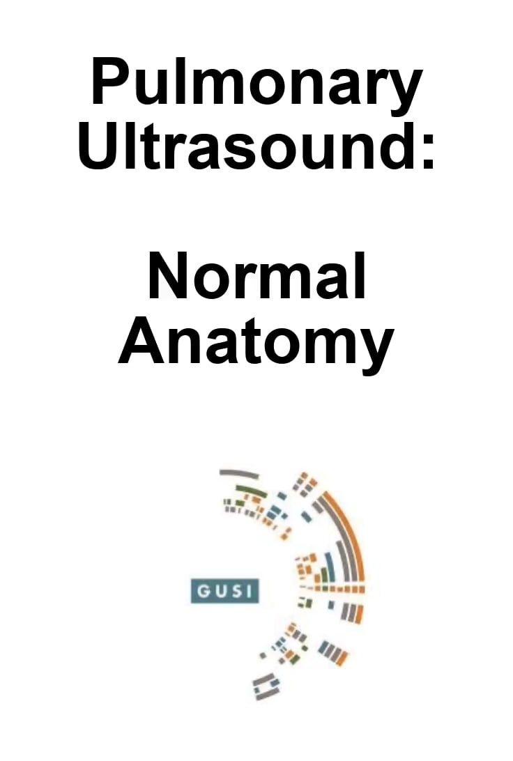 Lung Anatomy - Video